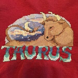 Taurus Embroidery Sweatshirt
